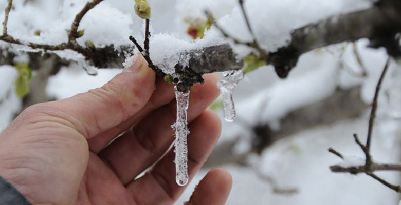 Isparta için zirai don uyarısı