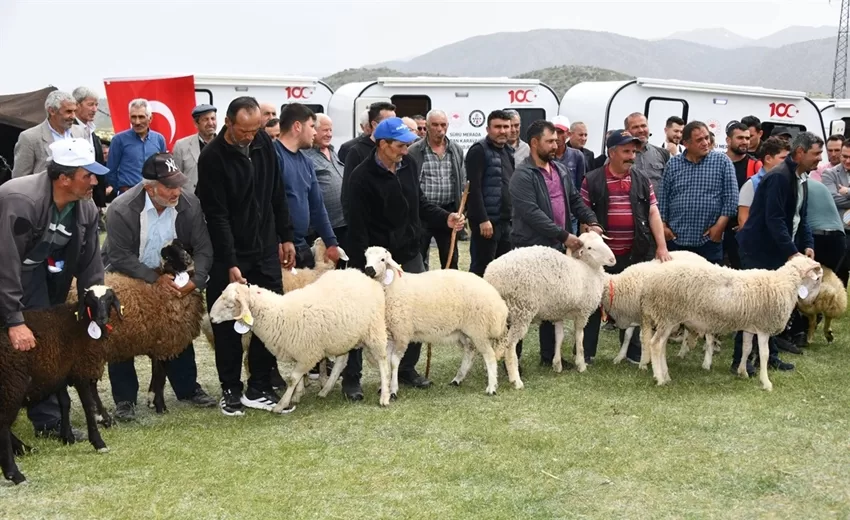 Sürü Merada, Çoban Karavanda