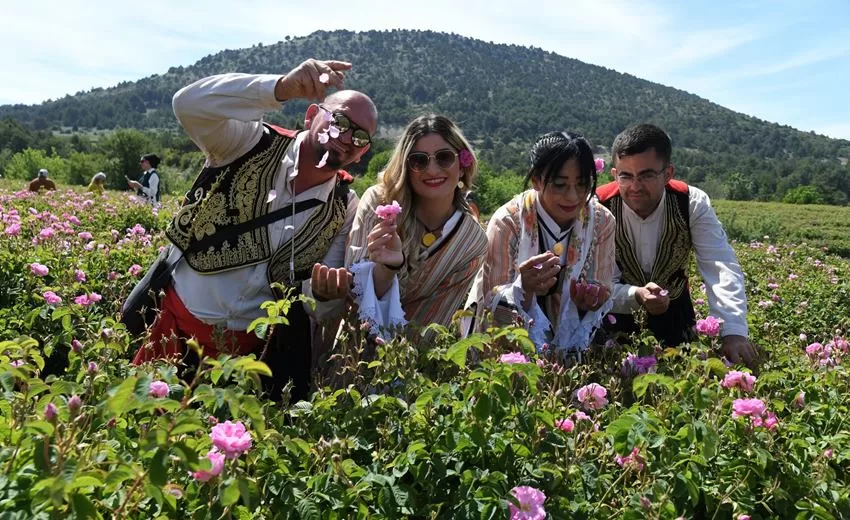 Uluslararası Isparta Gül Festivali gül hasadıyla renk kazandı