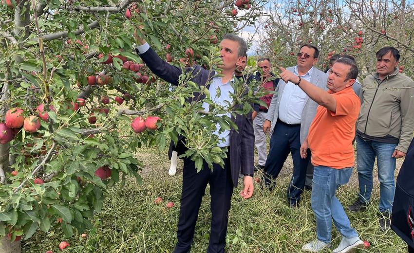 Vali Baruş, Dolu Zararı Tespit Çalışmalarına Katıldı