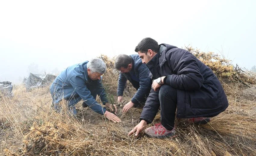 Gölcük Tabiat Parkı’nda Fidanlar Toprakla Buluşturuldu